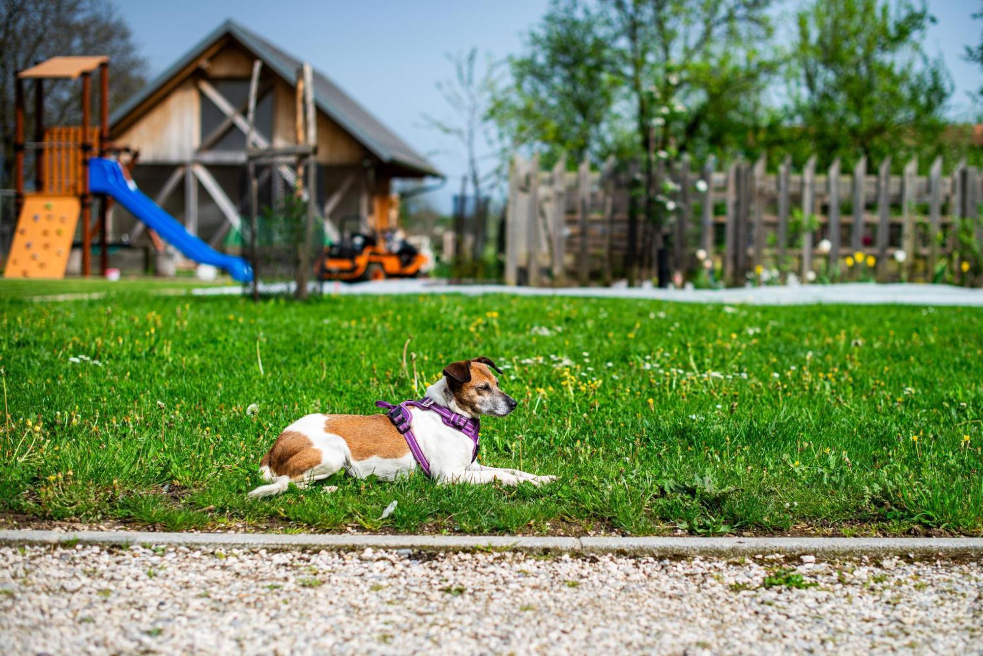 Turisticna Kmetija Grabnar Villa Bled Kültér fotó
