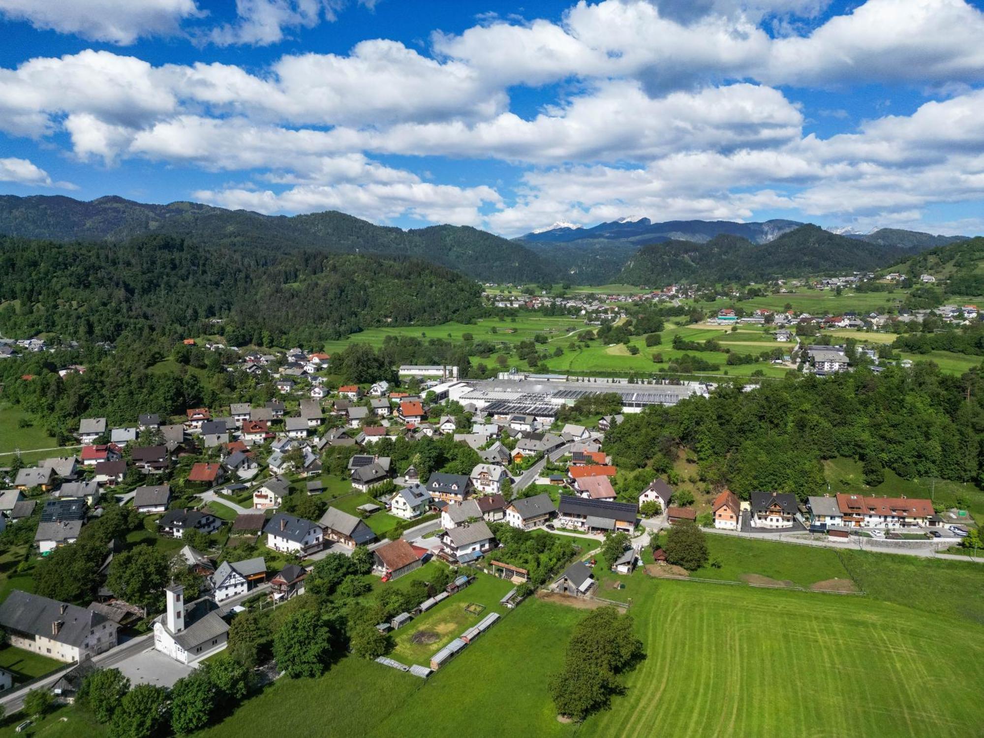 Turisticna Kmetija Grabnar Villa Bled Kültér fotó