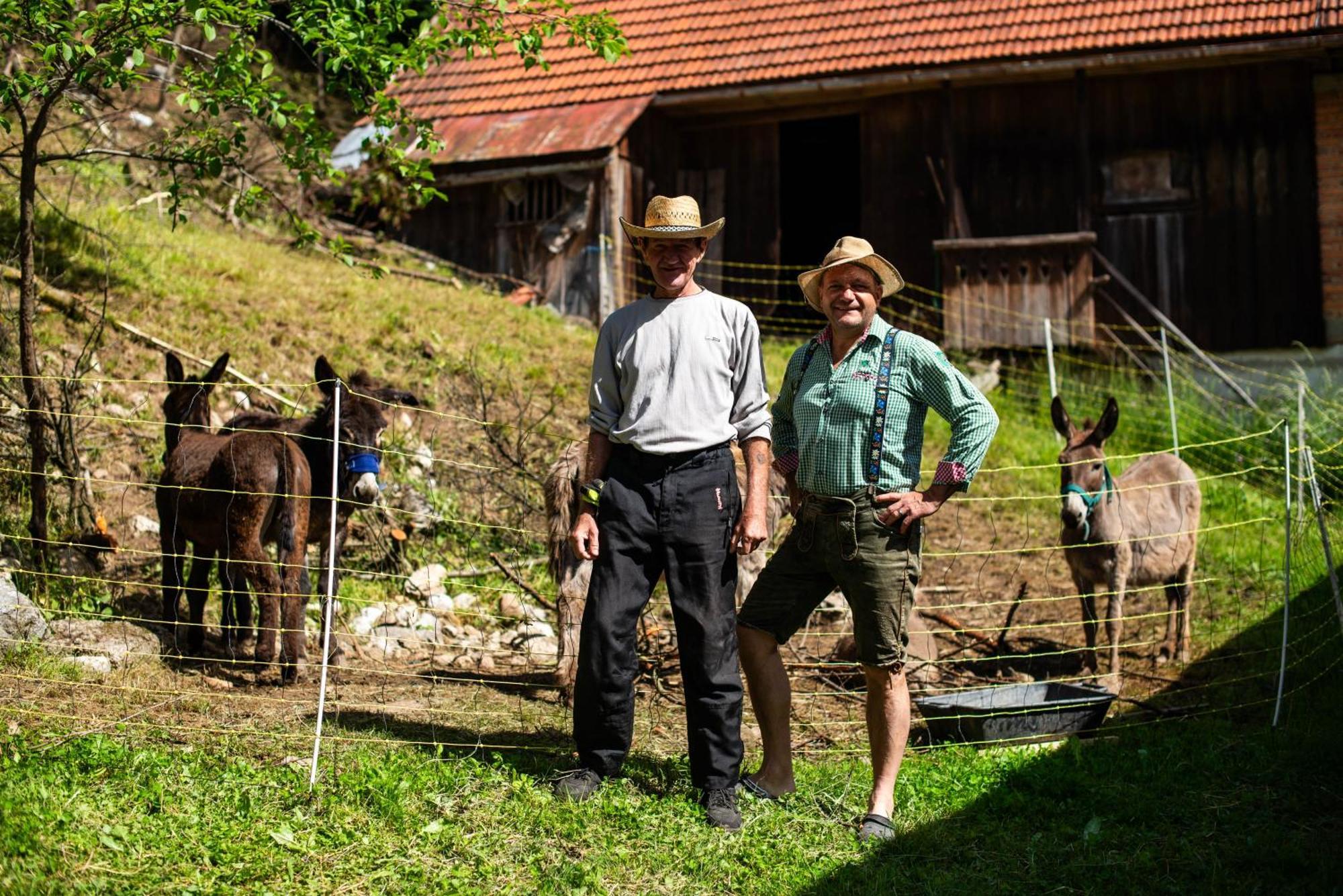 Turisticna Kmetija Grabnar Villa Bled Kültér fotó